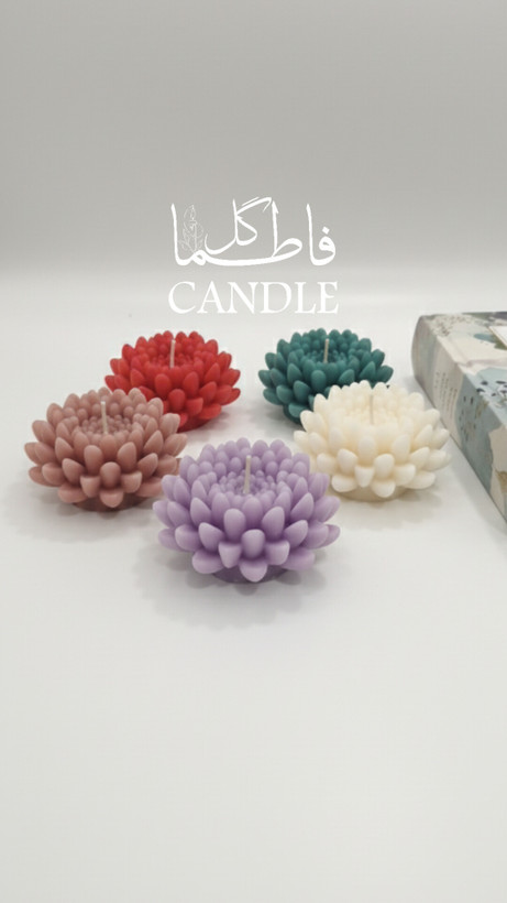 شمع گل داوودی